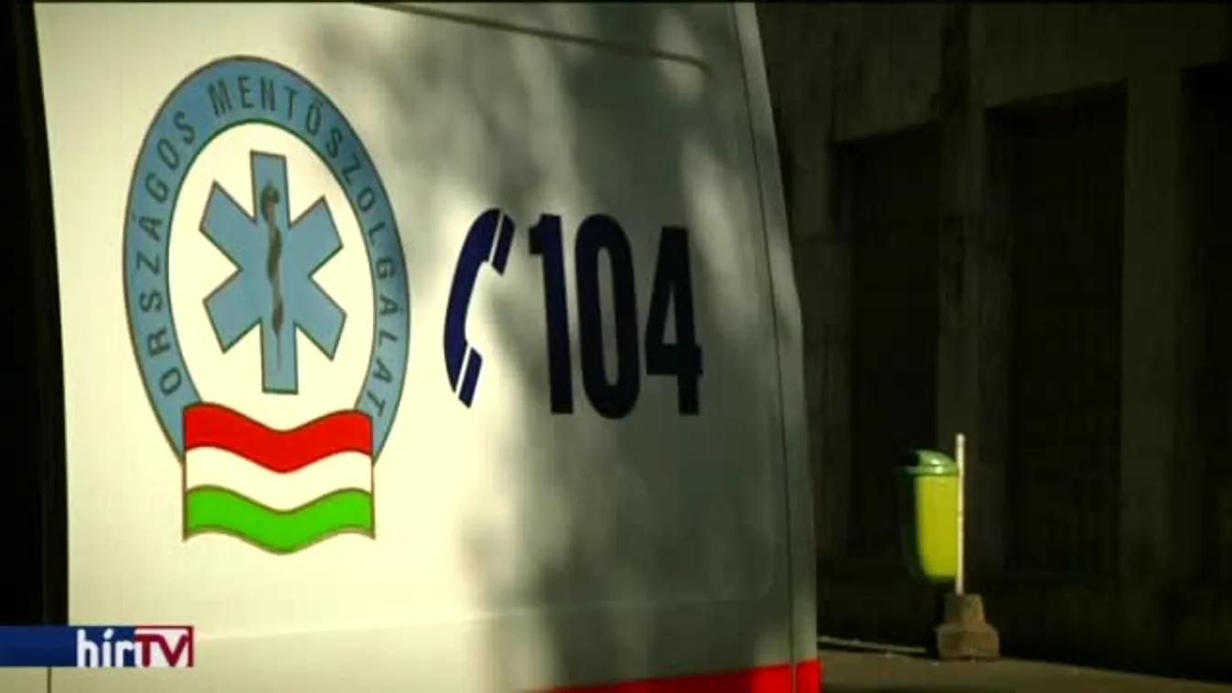 Látótér – Drótszamár