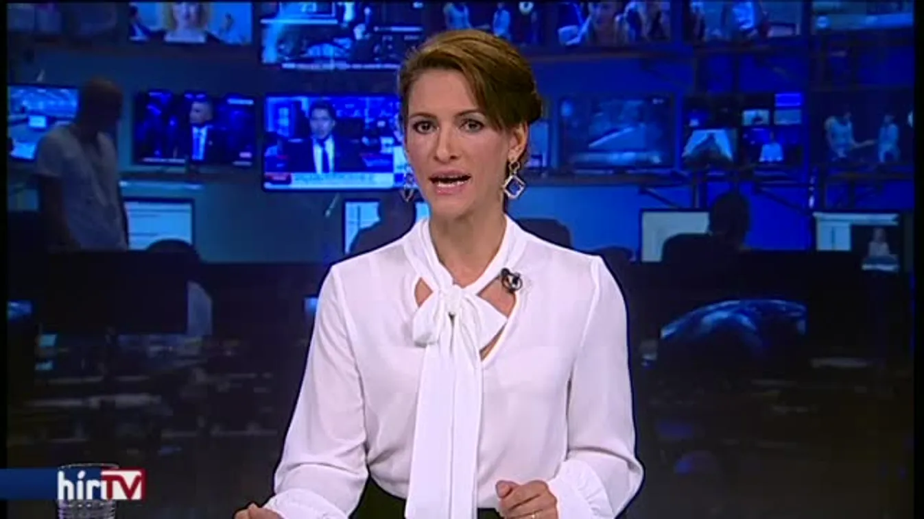 Schöpflin: Tyúksz..os ügy a letelepedési kötvény