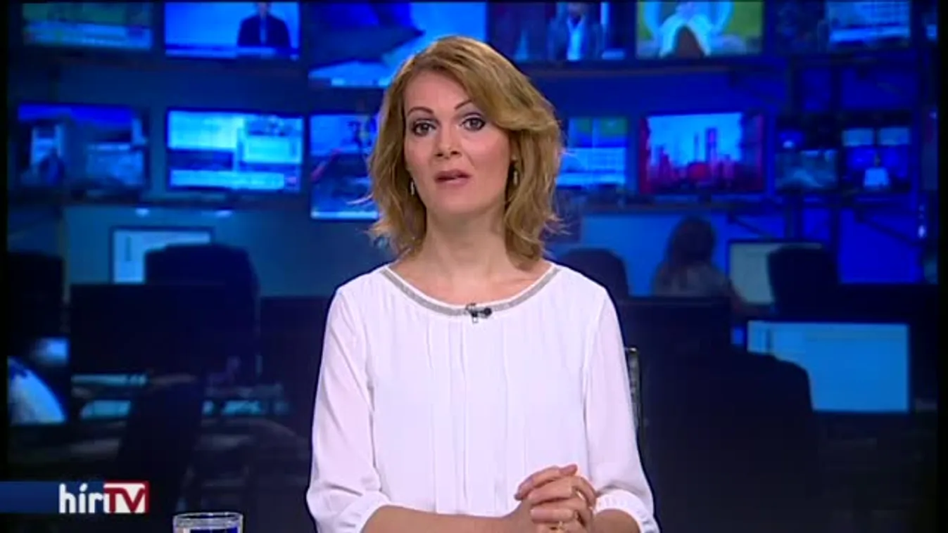 Balaton-parti halsütödéknél razziáztak