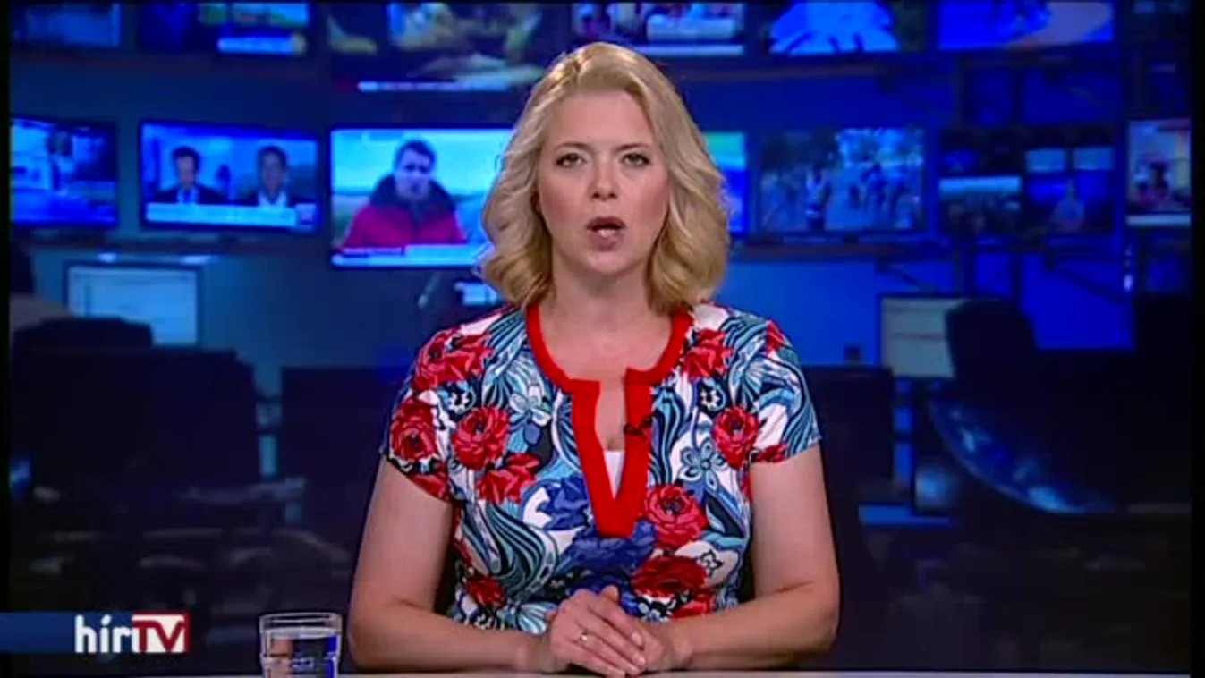 A bukott jelölt panaszkodik, csak a bevándorlás volt a téma