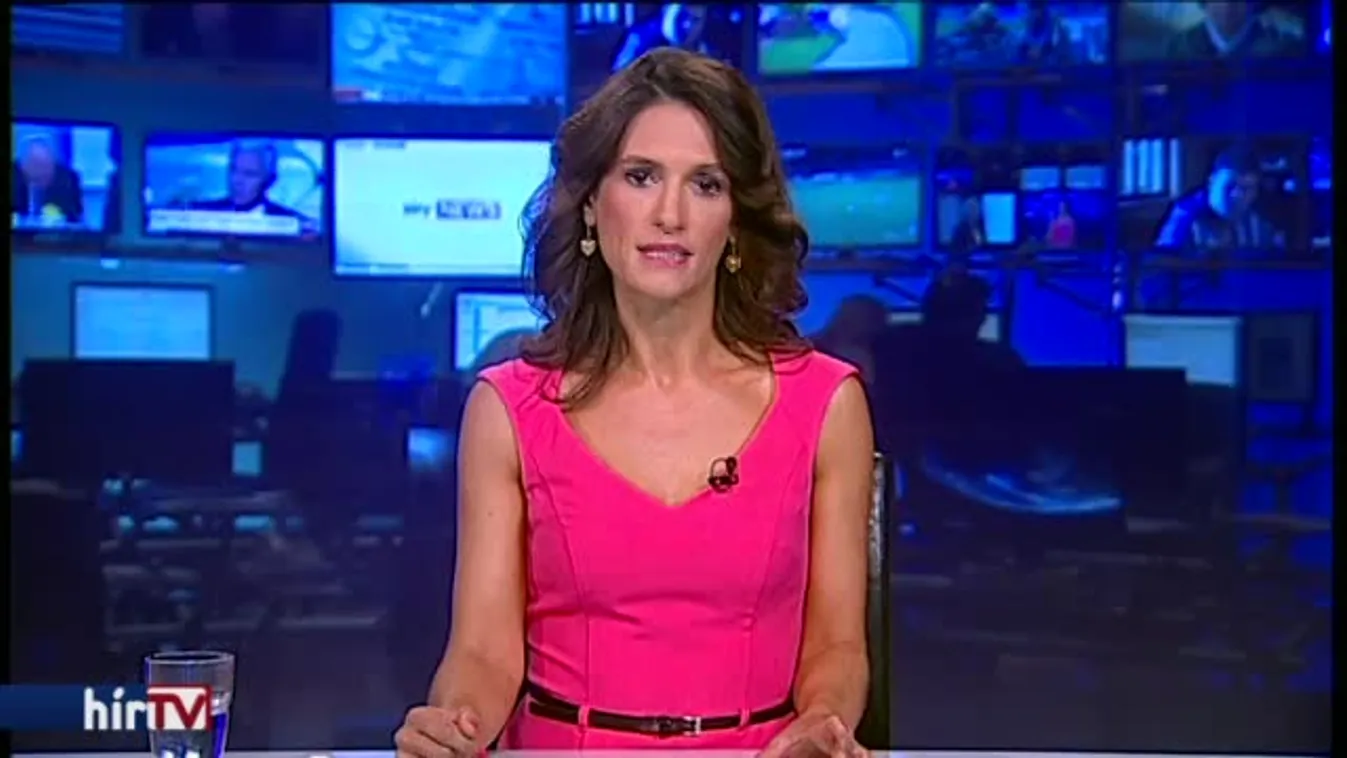 Nem beszámítható a NAV-os gyilkos, megússza a börtönt