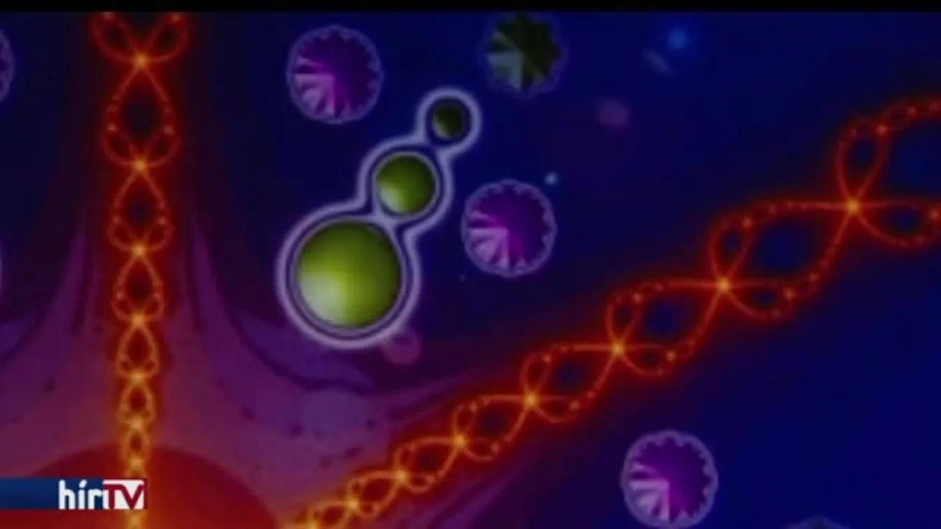 Lázár más szerelmi és számmisztikai ügyeivel nem foglalkozik