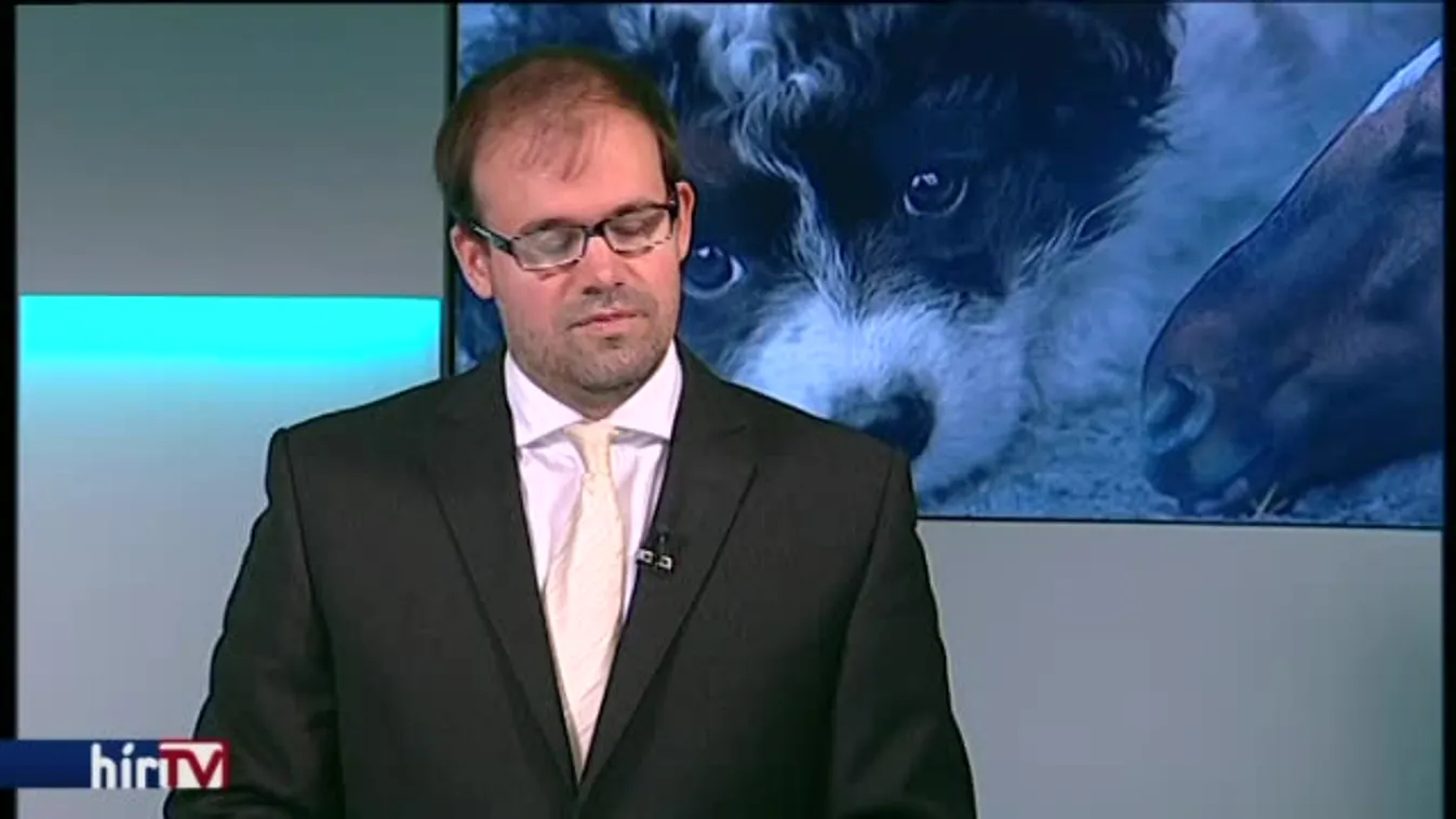 Reggeli járat – Még szigorúbb büntetésre számíthatnak az állatkínzók