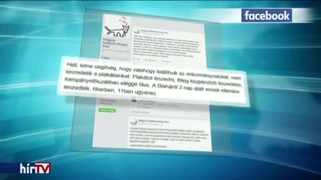 „Vicc, hogy utasításra tépkednék a Kétfarkú Kutya Párt plakátjait”