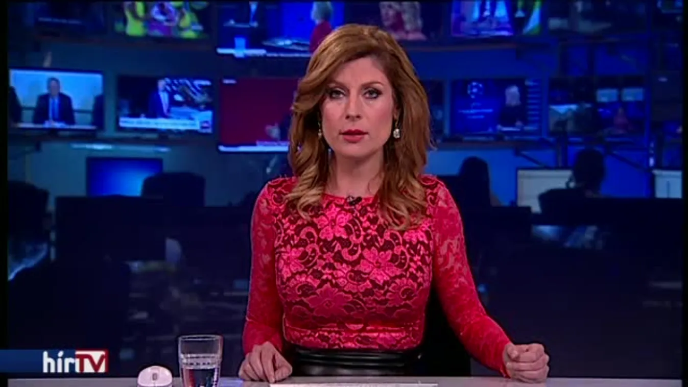 Németh Szilárd: A TEK nem felelős, amiért a terroristák Budapesten szervezkedtek