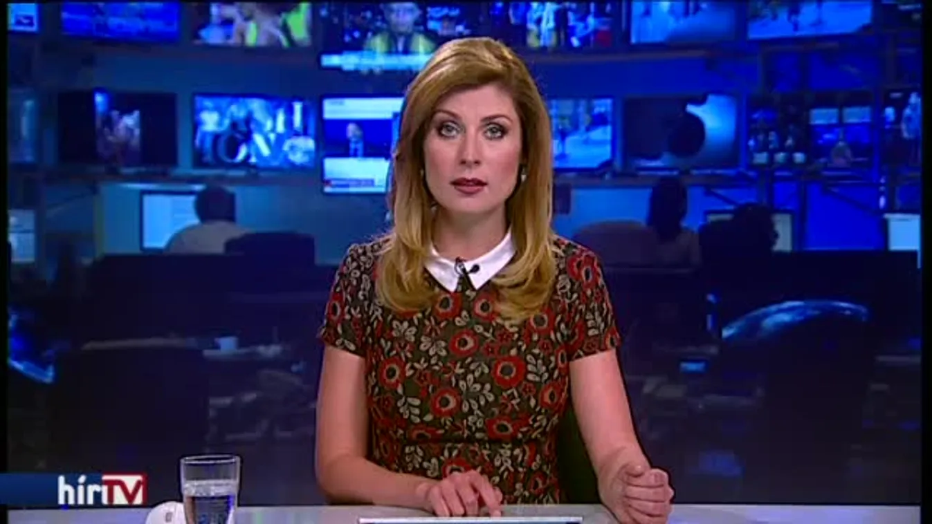 Függetlenedne az államtól Orbán egykori tanácsadója