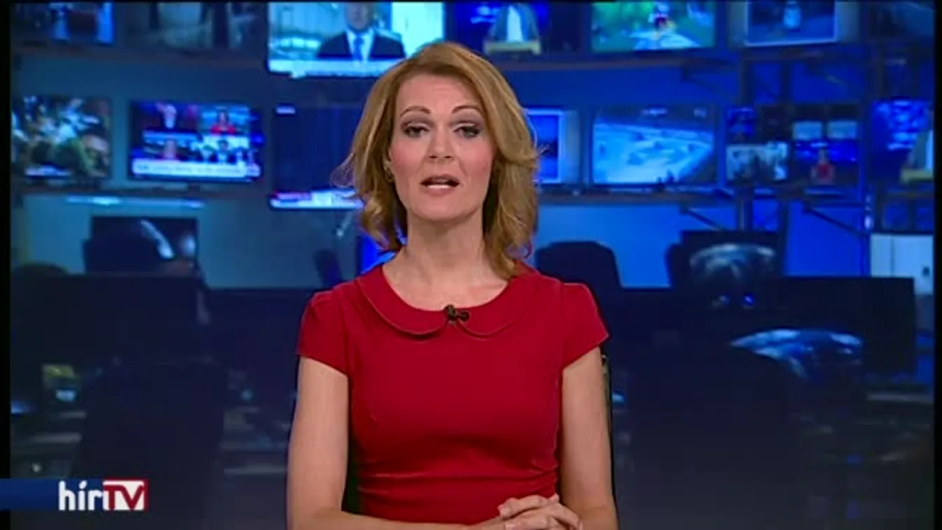 Határon túlról jöttem, mesterségem címere: Fidesz-kampány-segítő