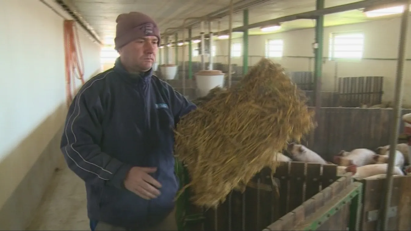 Rendhagyó adás – Soroló