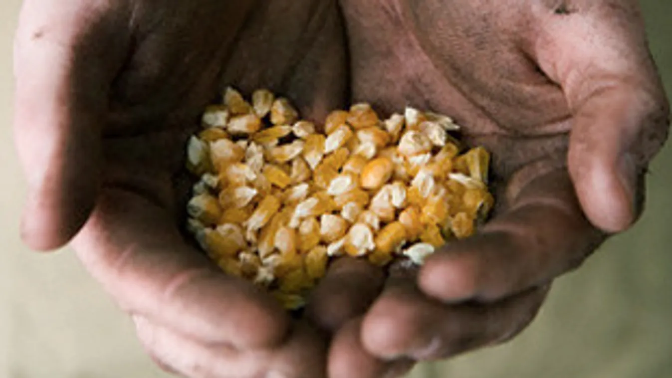 Készlethiány – Reggeli járat