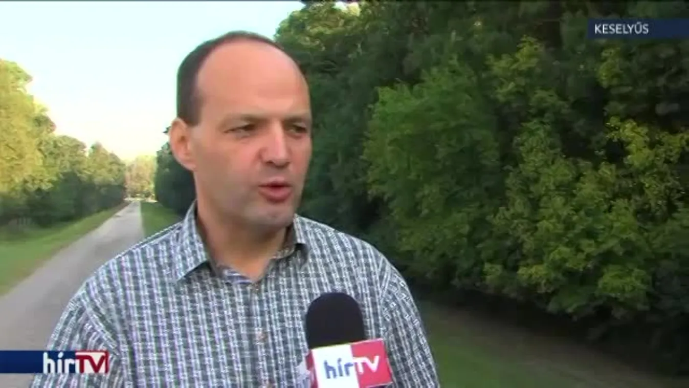 Reggeli járat – Már a bikák hangjától zengenek az erdők