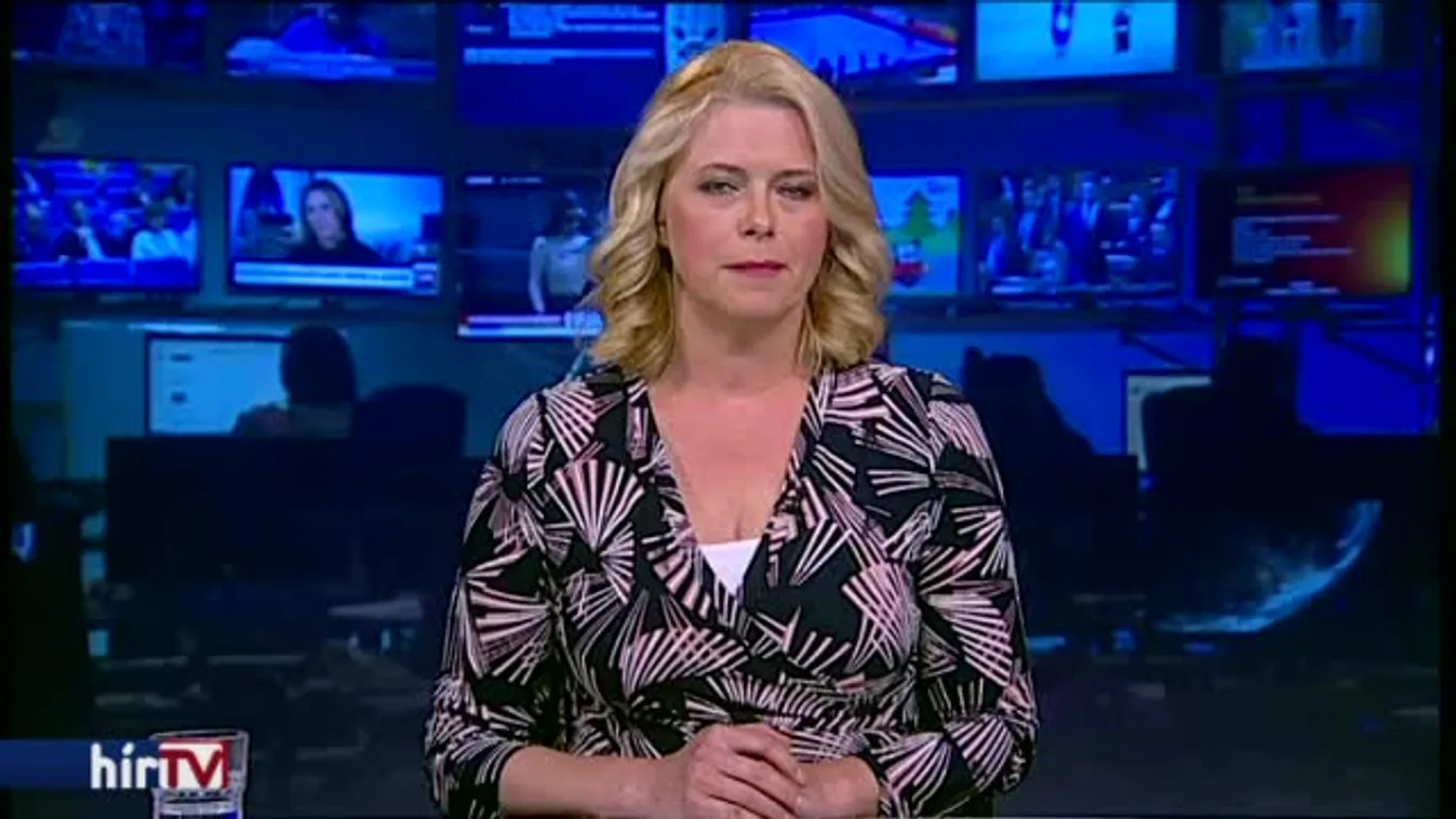 Tuzson: Elég nemet kapott a kormán