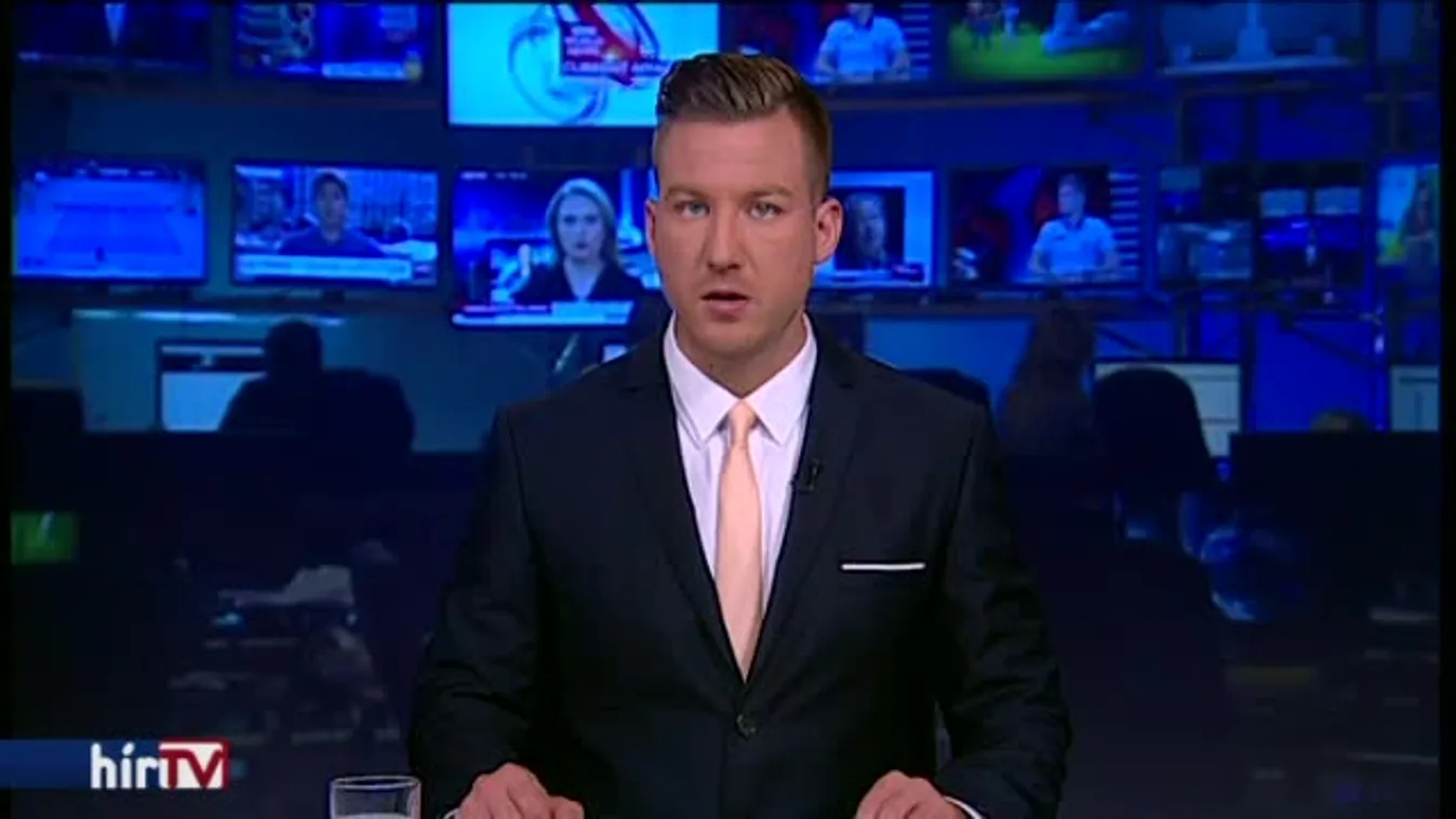 Százmilliókat csaltak el egy erdészeti céggel