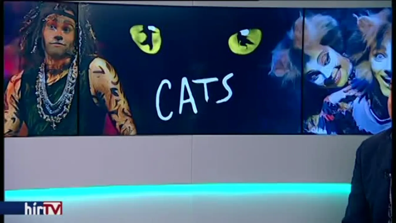 Reggeli járat – Macskák a Széll Kálmán téren