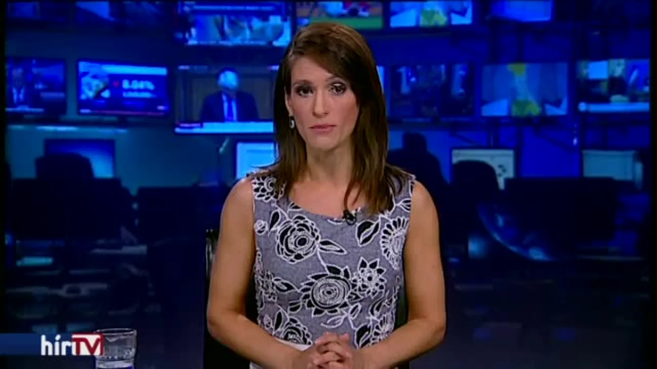 CETA: ment az adok-kapok a parlamentben