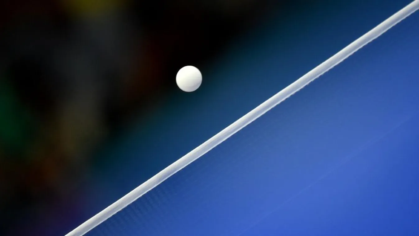 Asztalitenisz-Eb: Bronzérmes a Madarász, Pergel duó