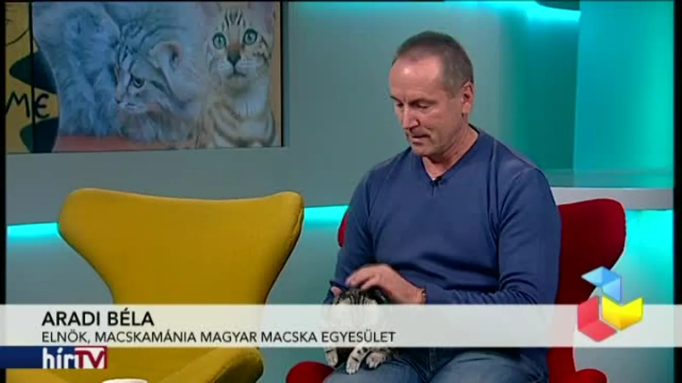 Reggeli járat – Egérfogó