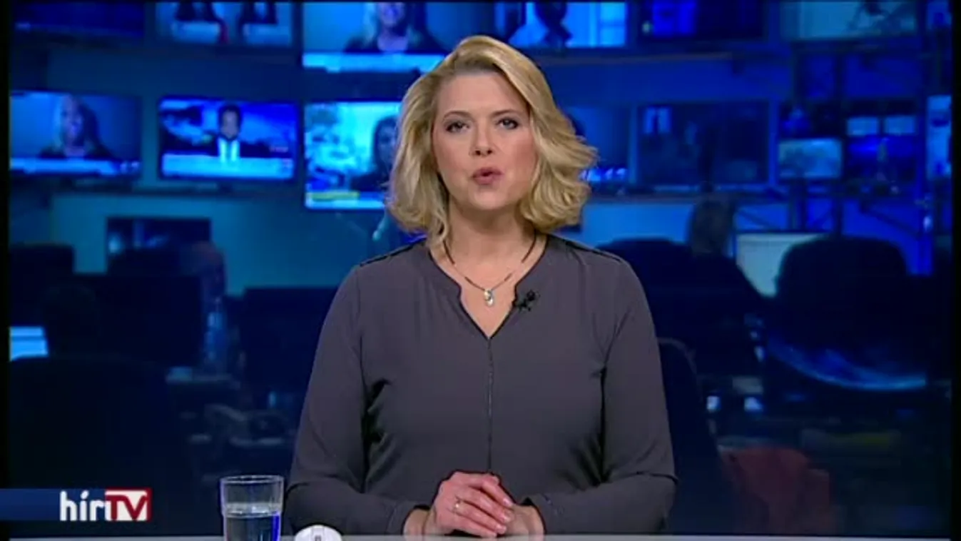 Az éj leple alatt tüntették el a Kétfarkú Kutya Párt munkáját