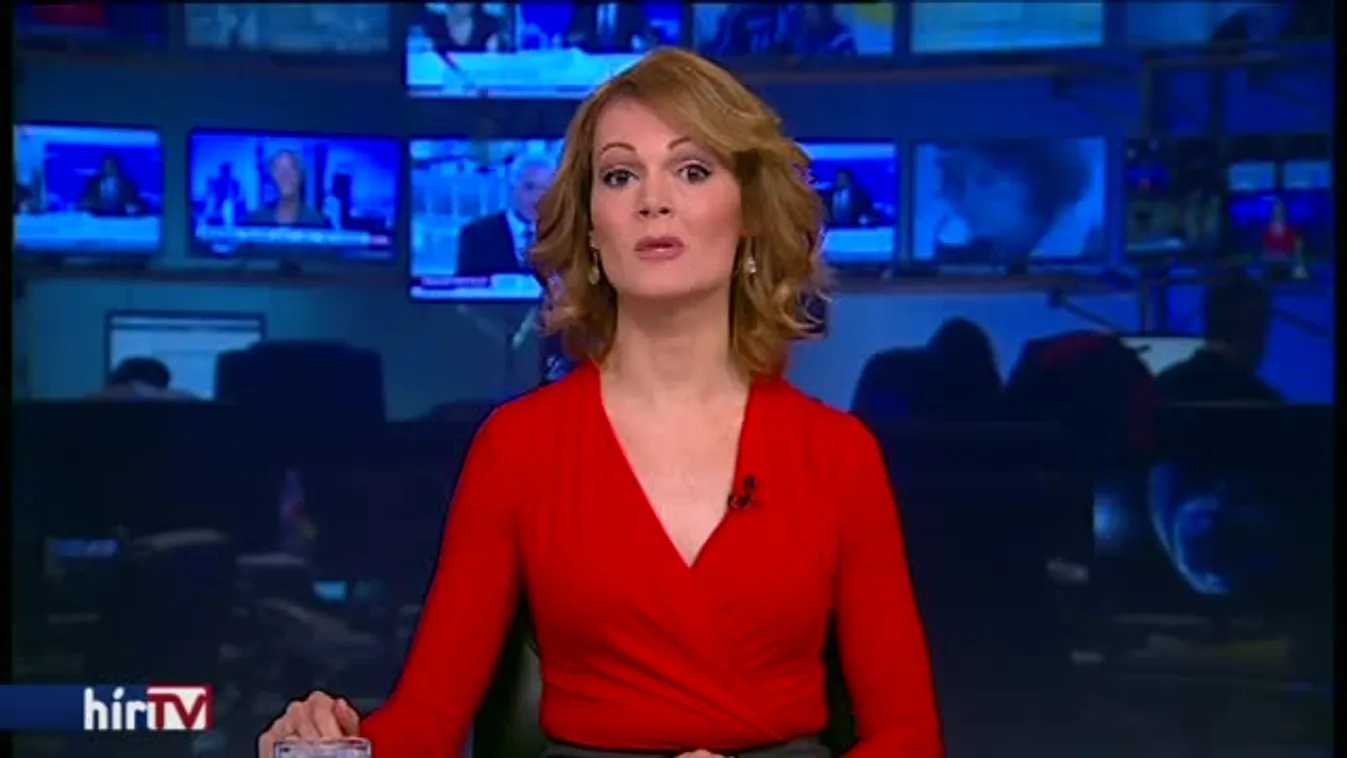 Ugrik Vajda Zita igazgatósági tagsága