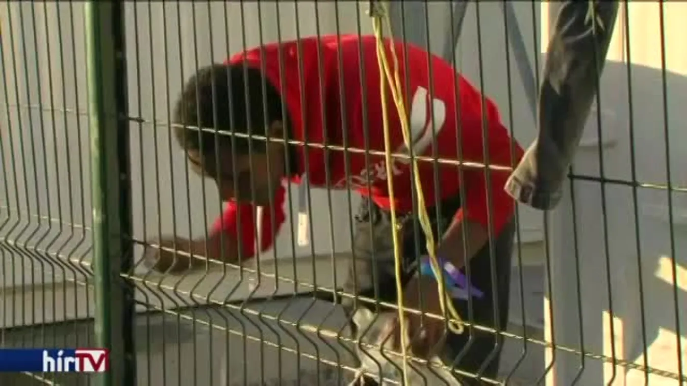 Magyarország élőben – Felszámolt dzsungel