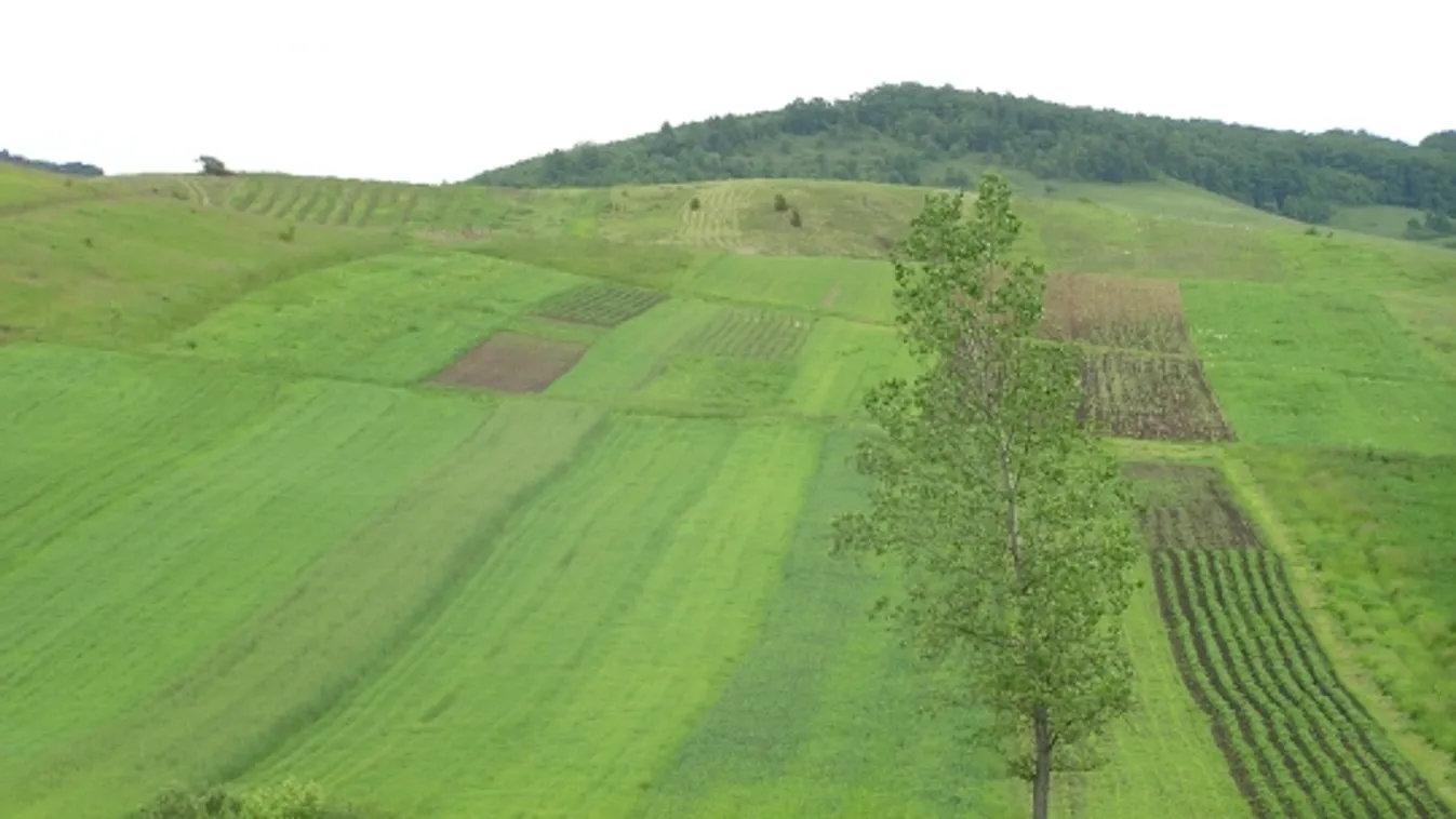 Harc a földért - Soroló