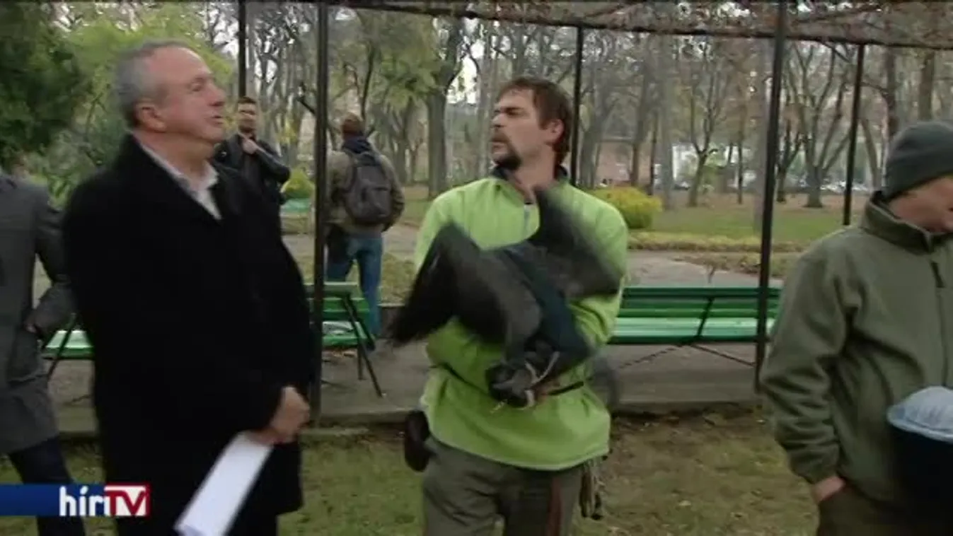 Madárbarát tanösvény a Városligetben