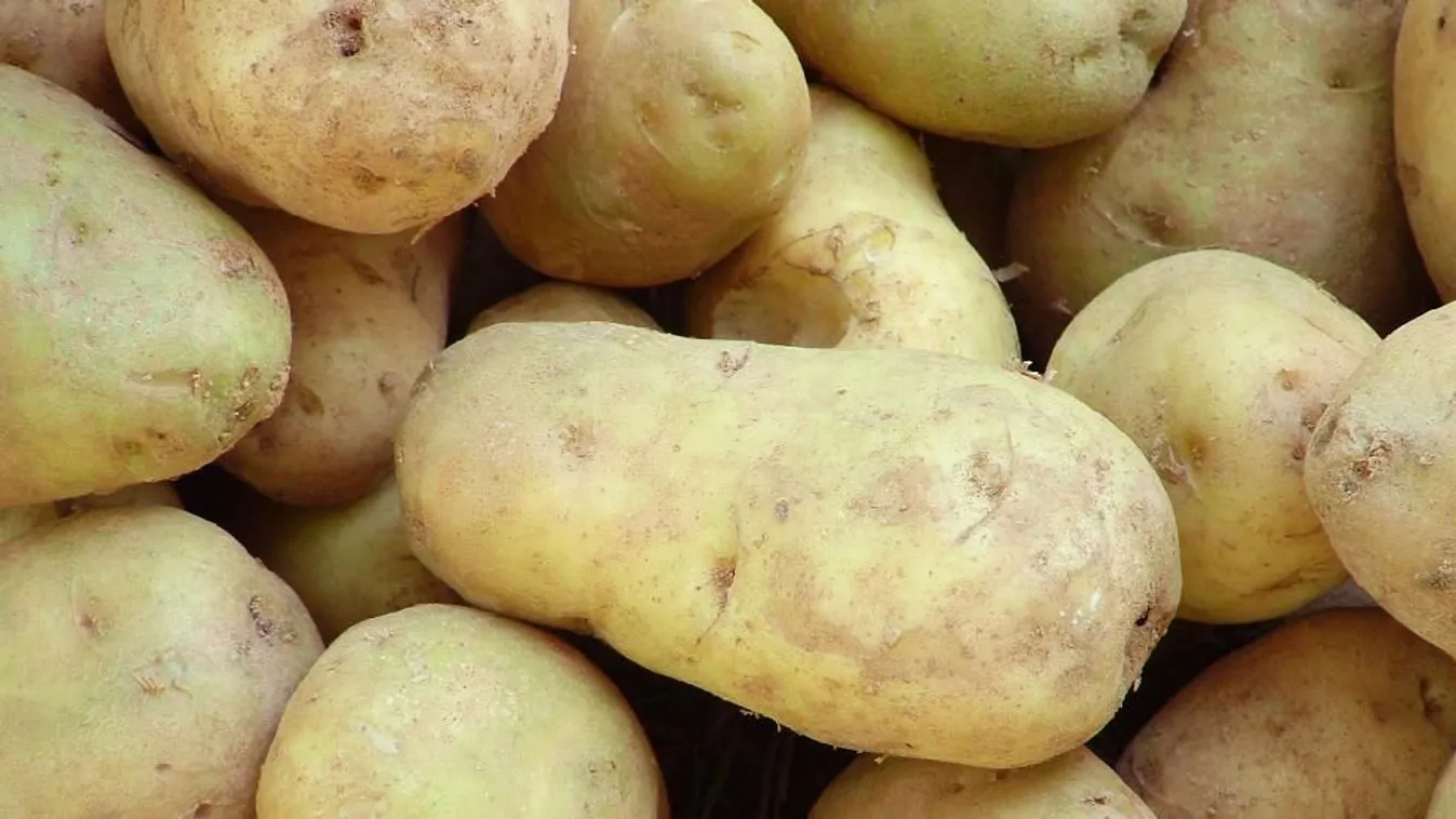 Nehéz a betakarítás – Soroló