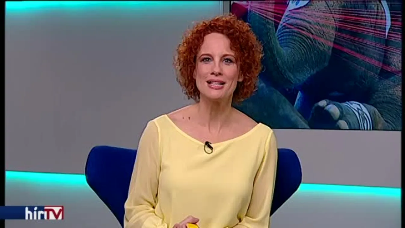 Reggeli járat – Varázslatos karácsonyi előadás a Fővárosi Nagycirkuszban