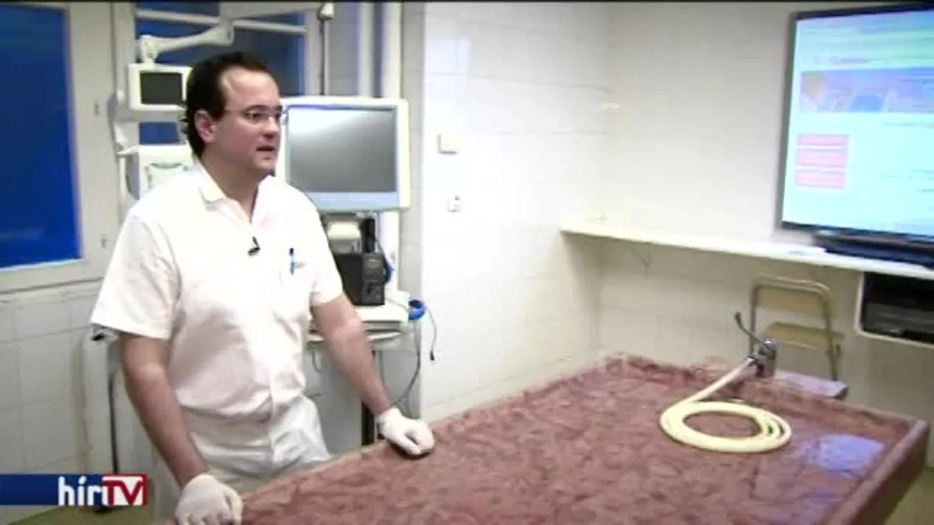 Látótér – Isa, por es homou