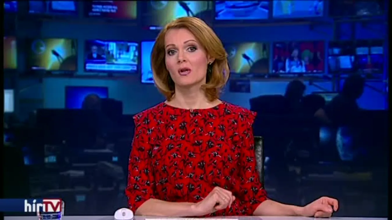 Egy magányos farkas akart betörni Miskolcon