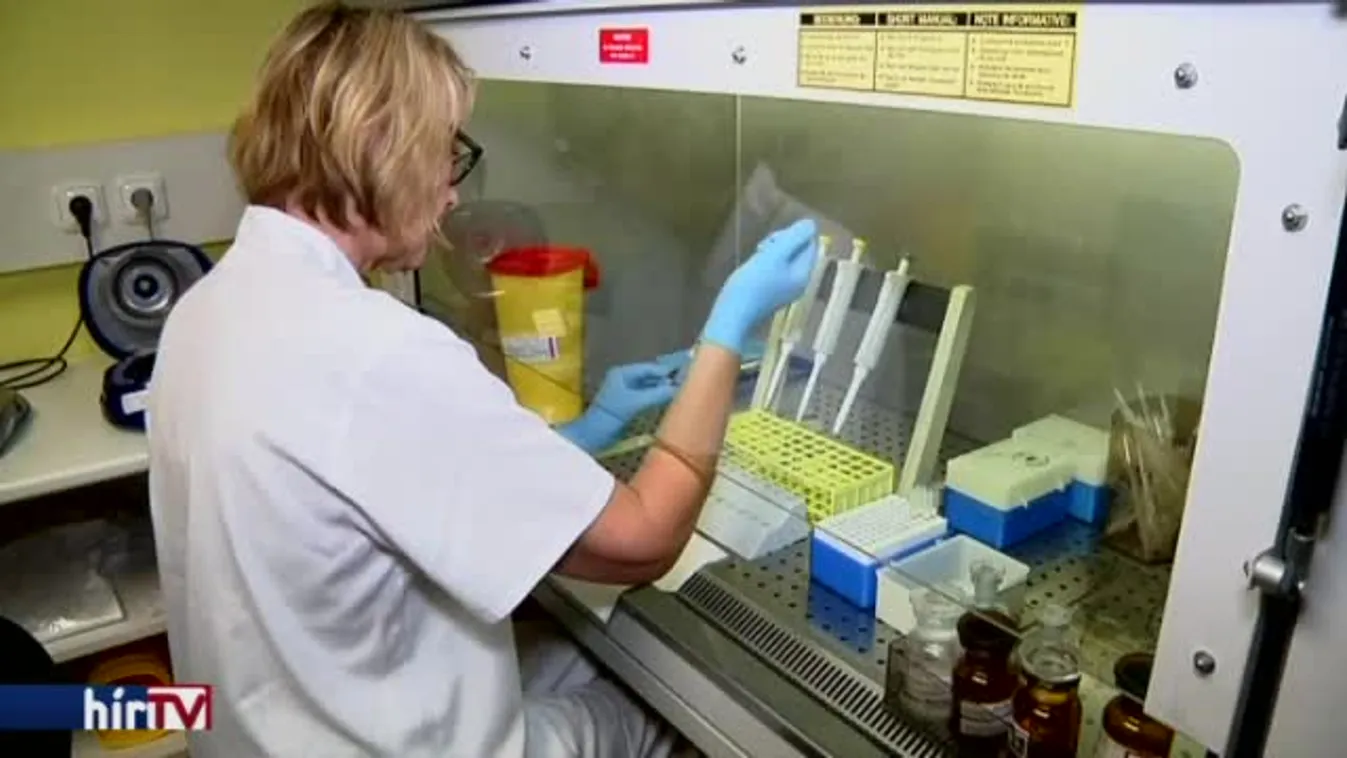 Felfedező – Mesevilág