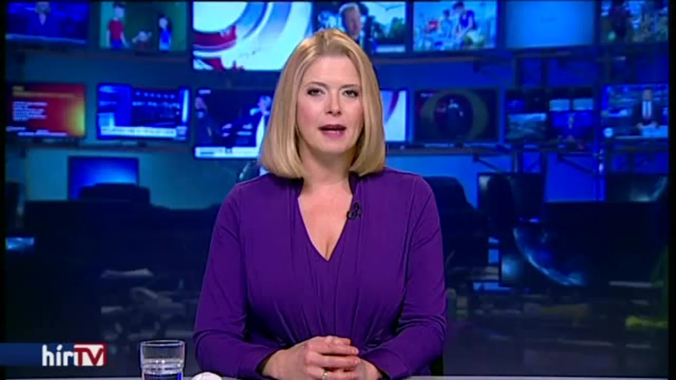 Százmilliókat keresett Rogán szomszédja