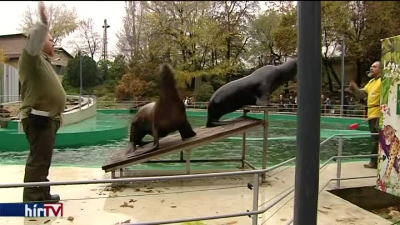 Téliesítik az állatkertet