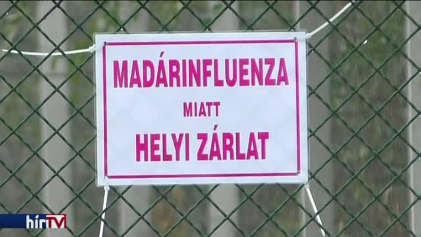 Az egész országra fedett etetést rendeltek el