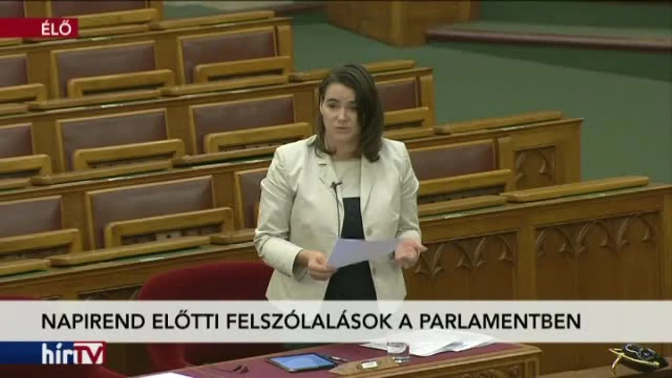 Napirend előtti felszólalások - 2016.11.28.