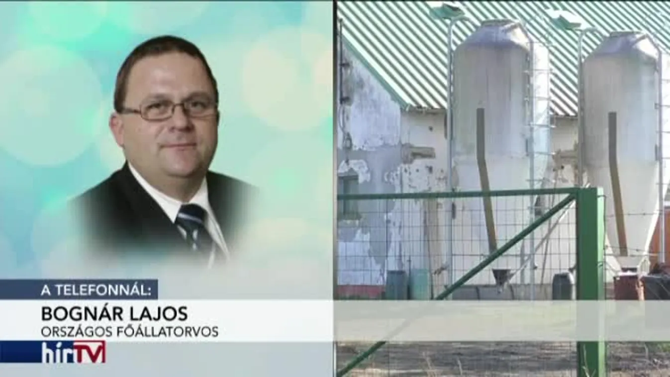 Reggeli járat - Madárvész