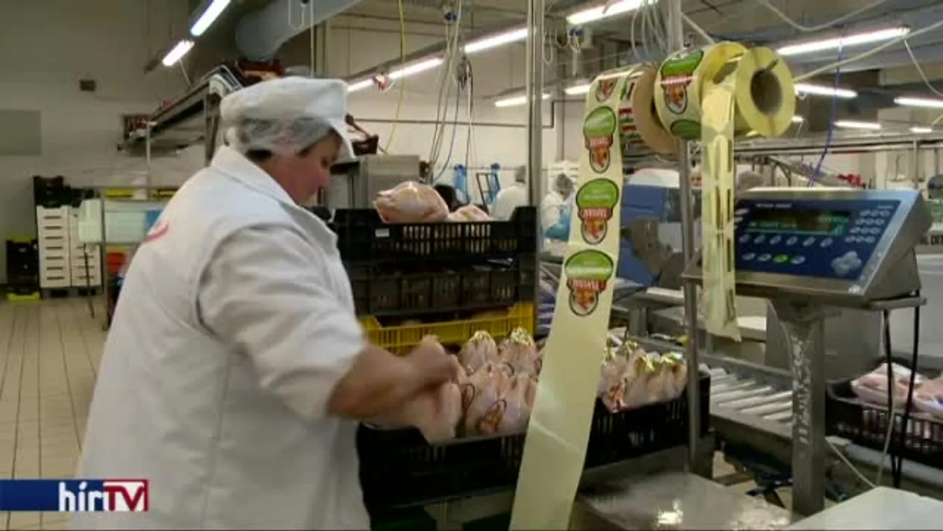 Tárgyalnak, de bármikor sztrájkolhatnak a közalkalmazottak