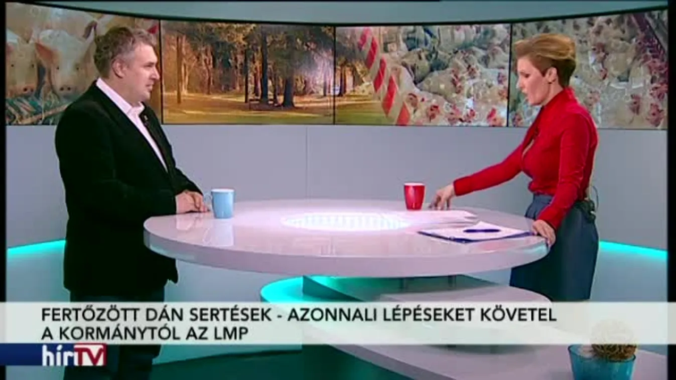 Reggeli járat – Baromfi után sertésvész?