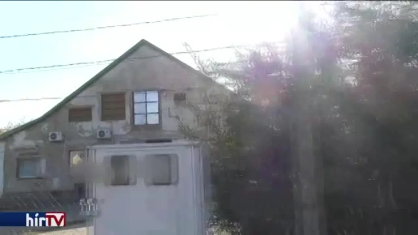 Több ezer pulykát megöltek a madárinfluenza miatt