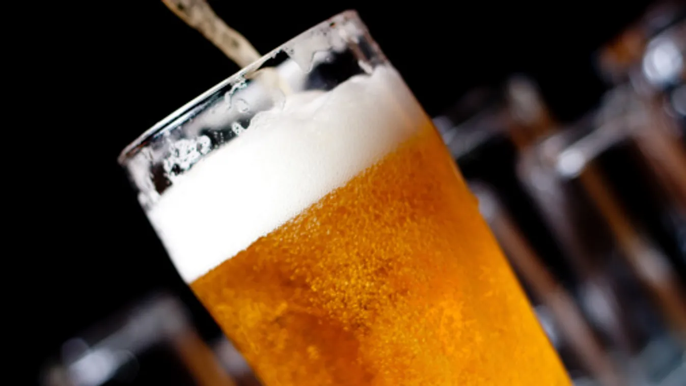 Fenékig! – Felfedező