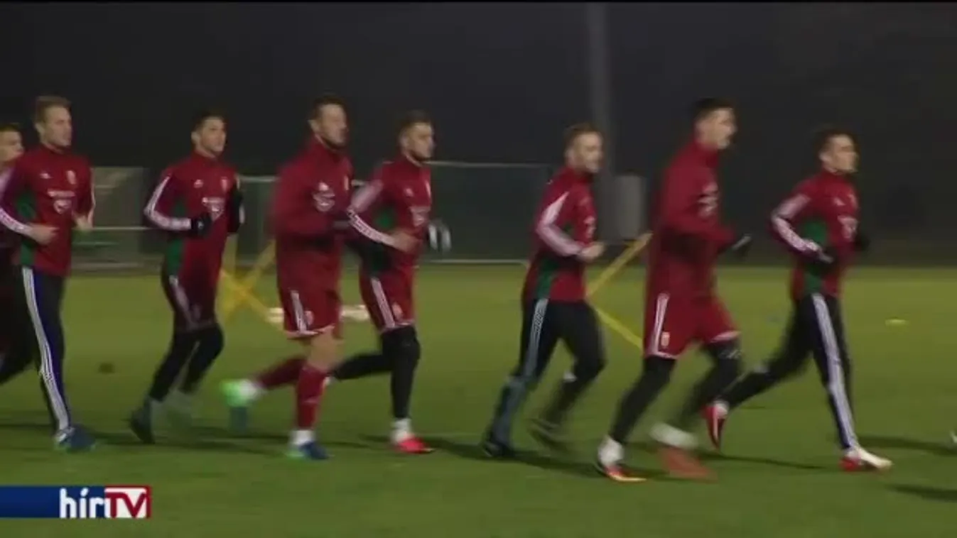 Storck: 2016 sikeres év volt, 2017 nehéz lesz