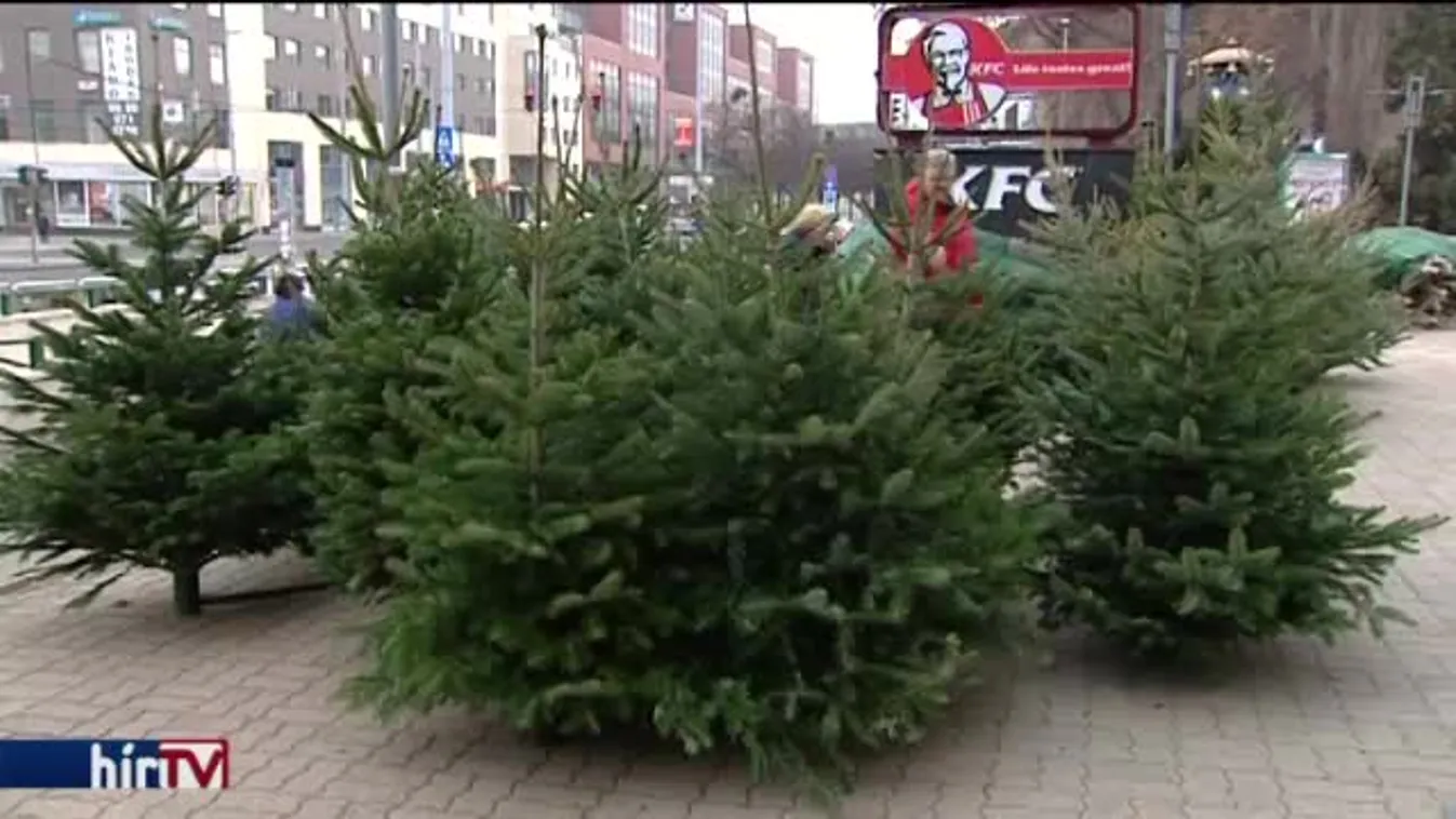 Megkezdődött a karácsonyi roham