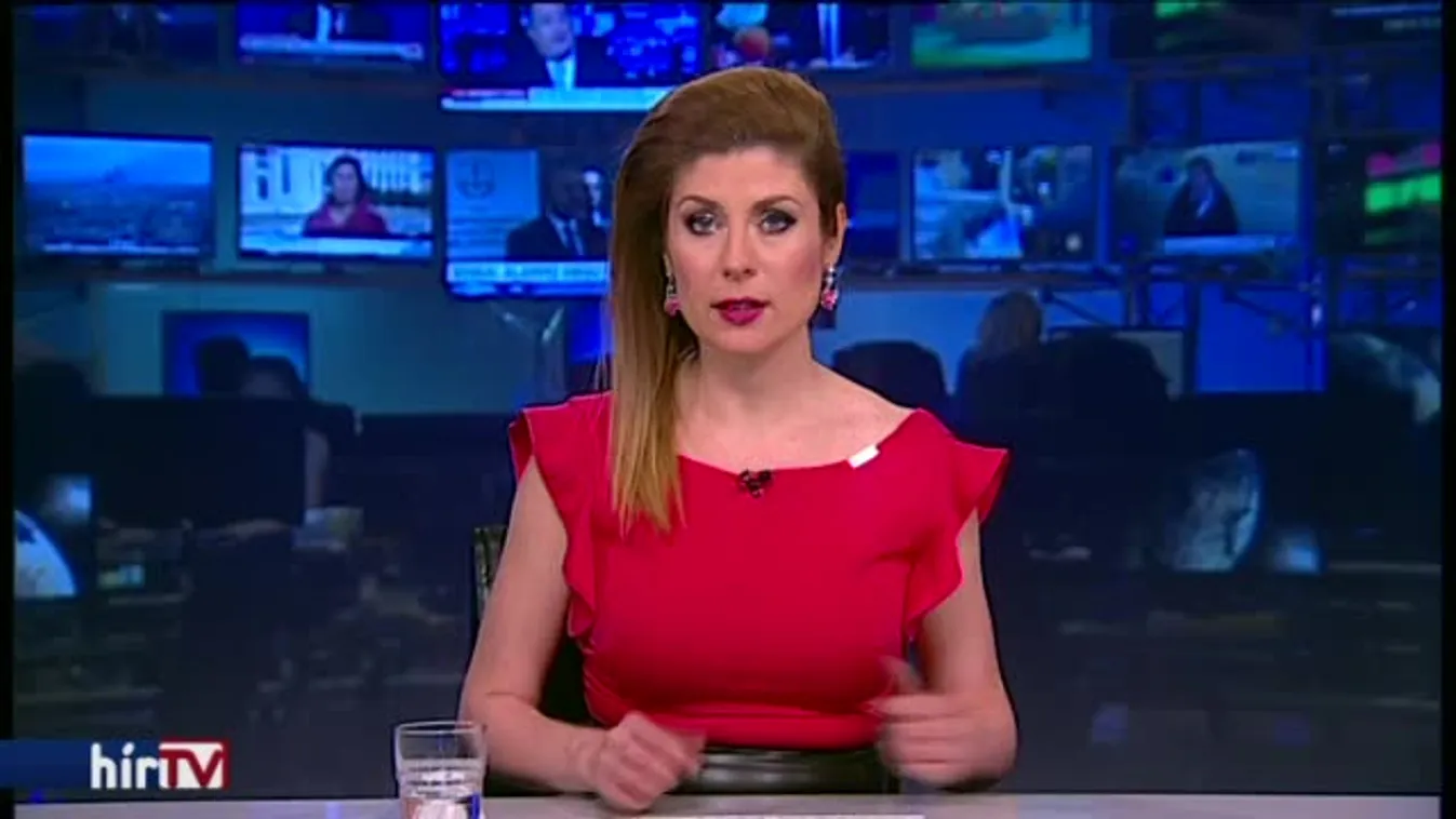 Elfoglaltak egy munkagépet a ligetvédők