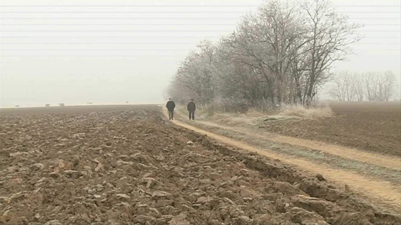 Közös tulajdon – Soroló