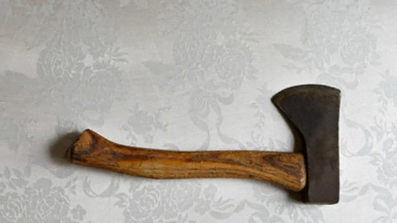 Baltával sújtott le haragosára