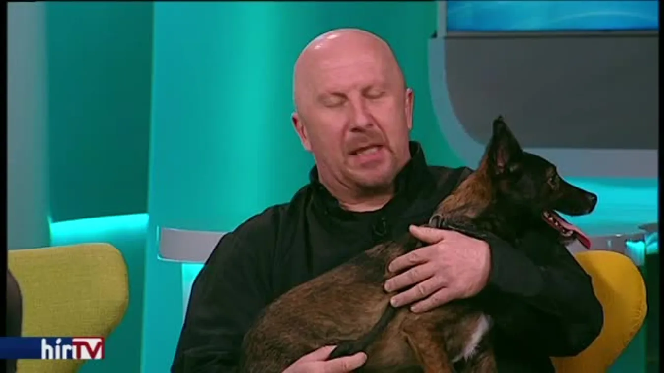 Reggeli járat – Szilveszteri kutyafrász