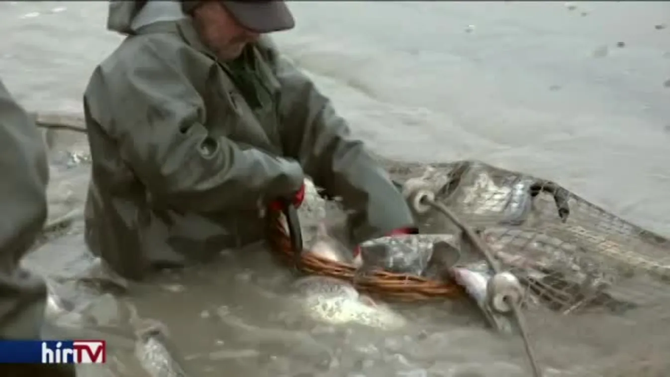 Uniós átlag alatt Magyarország - a halfogyasztásban is