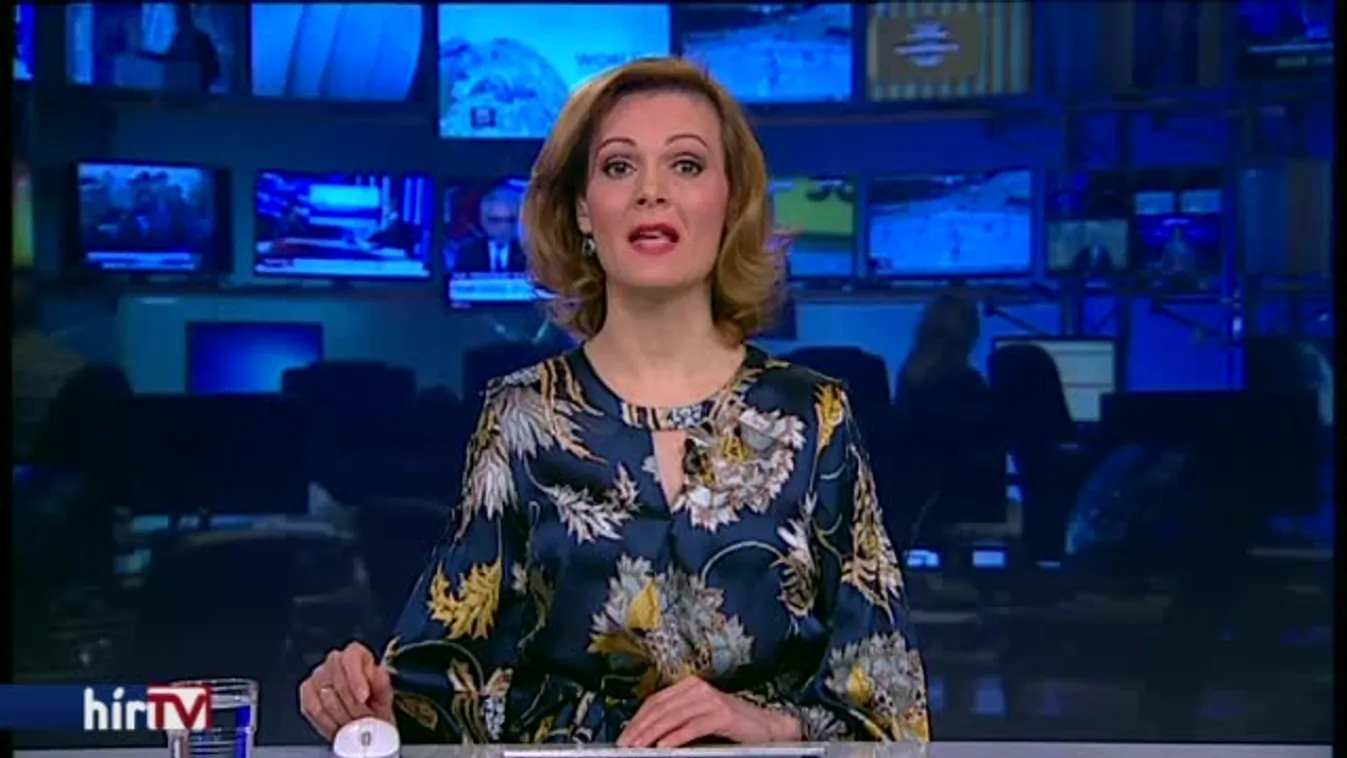 Tarlós élhetett a vétójogával