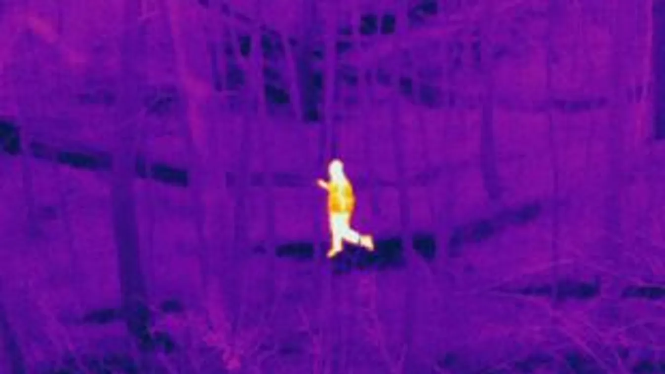 Húsz határsértőt fogtak a békési rendőrök