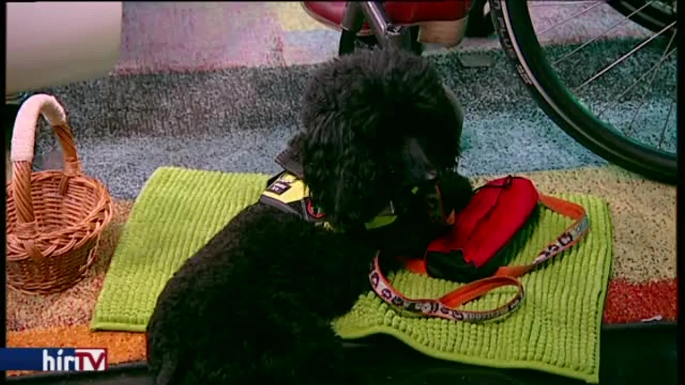 Reggeli járat – önzetlenül a rászorulókért