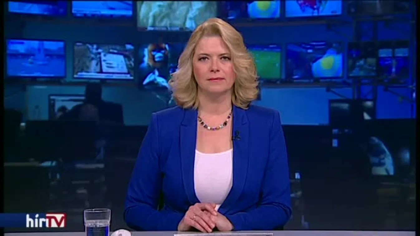 Együttműködnek a horvát és a magyar tűzoltók